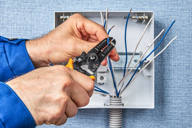 Best Electrical Panel Upgrades  in Bridgeport, NE